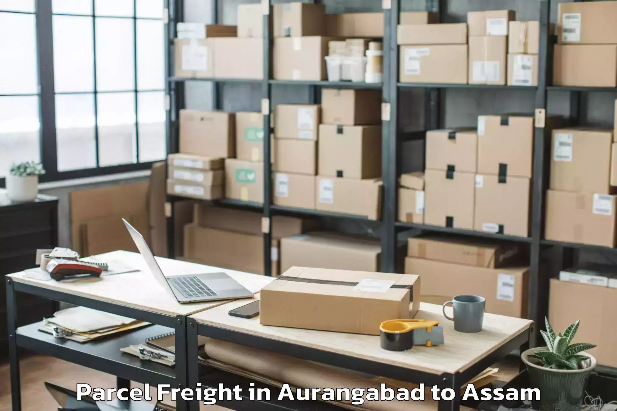 Leading Aurangabad to Silapathar Parcel Freight Provider